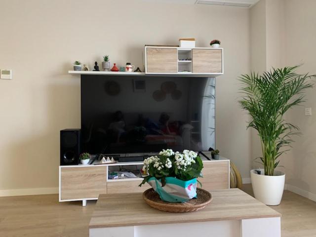 Bajo Con Jardin En Primera Linea De Playa Apartment Malaga Ngoại thất bức ảnh